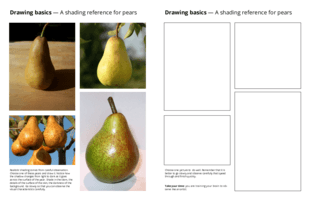 Drawing basics - A shading reference for pears