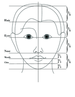 Alison West, Proportions of the Head