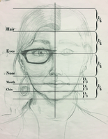 Alison West, Proportions of the head-drawing